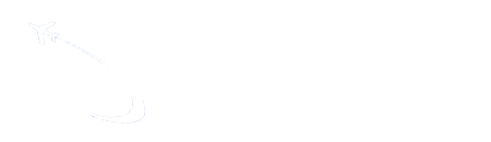 dfw airport car